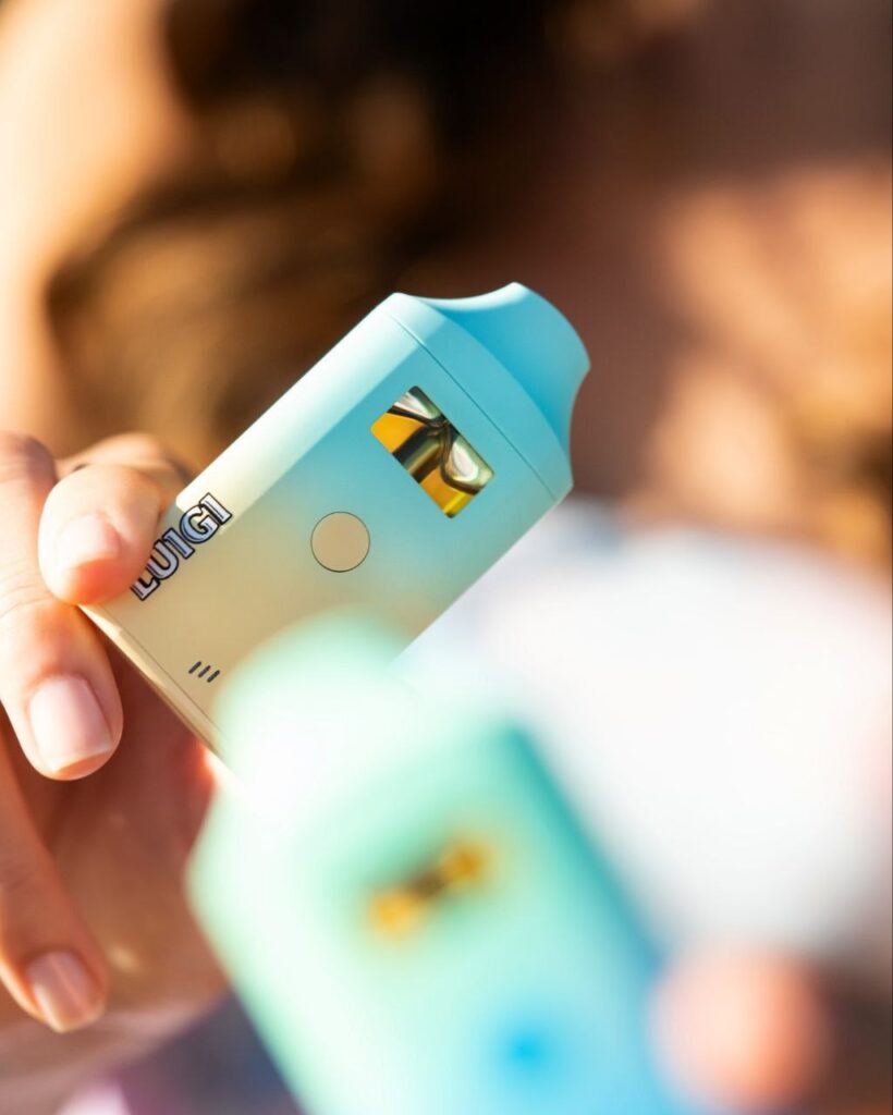 luigi disposable banner 3